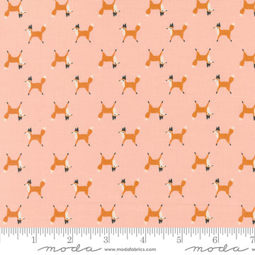 WOODLAND WONDER: Fox Trot-Blush (1/4 Yard)