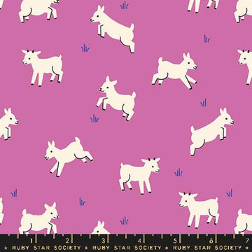 Ruby Star Society ANIMAL ANIMAL: Baby Goats-Heliotrope (1/4 Yard)