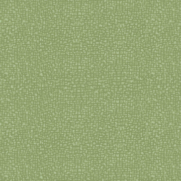 ALL ILLINOIS SHOP HOP 2024: Bedrock-Earth (1/4 Yard)