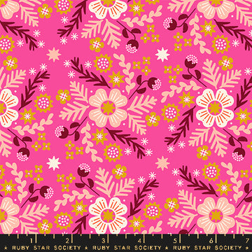 Ruby Star Society PIVOT: Wildflower-Playful (1/4 Yard)