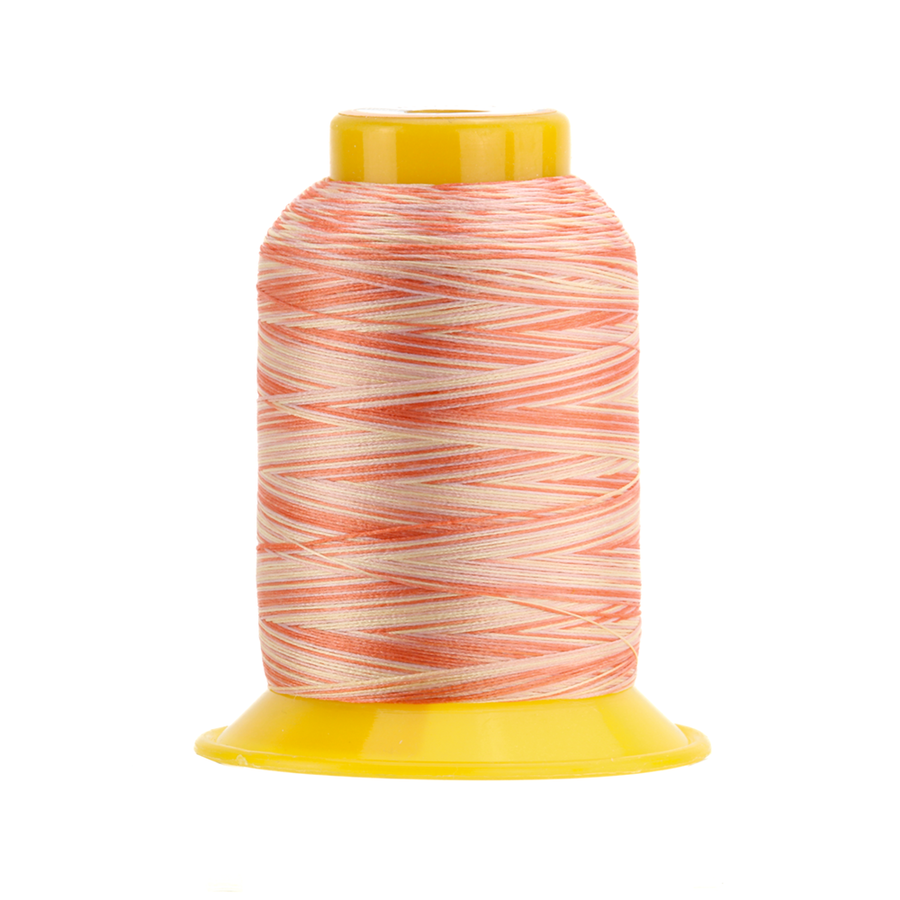 SOFTLOC: Wooly Polyester Variegated 1100yds- Peach Cobbler 09