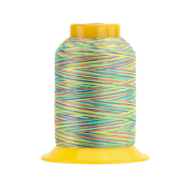 SOFTLOC: Wooly Polyester Variegated 1100yds- Pinata 34