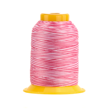 SOFTLOC: Wooly Polyester Variegated 1100yds- Milkshake 52