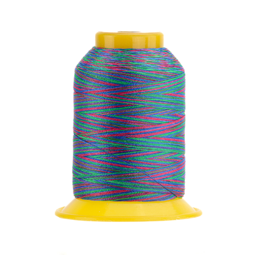 SOFTLOC: Wooly Polyester Variegated 1100yds- Playroom 31