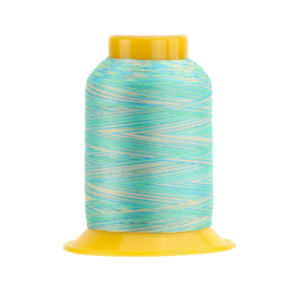 SOFTLOC: Wooly Polyester Variegated 1100yds- Bioluminescent 43