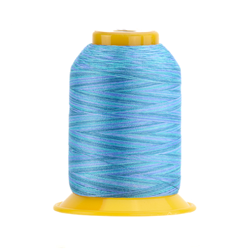 SOFTLOC: Wooly Polyester Variegated 1100yds- Blue Raspberry 12