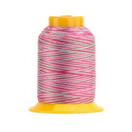 SOFTLOC: Wooly Polyester Variegated 1100yds- Dragon Fruit 53